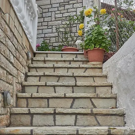 Alexis's House