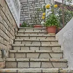 Alexis's House